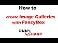 Create an gallery with FancyBox on your DNN website