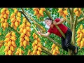 Download Lagu Harvesting Ripe Garcinia fruit to sell | Mountain Girl's Pork Egg Roll in Rustic Style