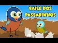 Download Lagu Baile Dos Passarinhos | Músicas Infantis