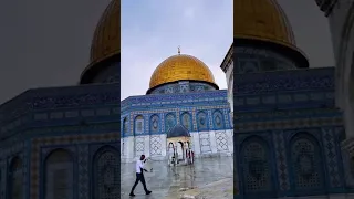اتعلم اننا اشتقنا دندنها