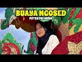 Download Lagu BUAYA NGOSED -Voc. ELIZA HENDRA | SINGA DEPOK PUTRA PAI MUDA (PPM) | PAREAN - INDRAMAYU