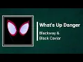 Black Caviar & Blackway - What's Up Danger (Lyrics)