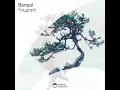 Bonsaï - Polygraph