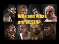 What and Who are WESEN GRIMM LORE