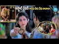 Lagu Maa Annayya Movie Rajashekar Meena Best Emotional Scenes | Rajashekar \u0026 Meena Superhit Scenes