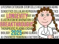 Lagu This years biggest breakthroughs in longevity! (2025)