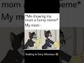 Stress Relieving Memes Funny Memes Compilations Dank Indian Memes Legends Memes