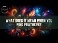 Feather Symbolism and Meaning - Unveiling the Mystical Messages