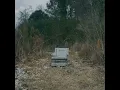 it hurts, now that you're gone