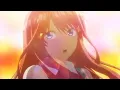 5 Toubun no Hanayome - Copines [AMV]