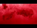 Route 83 - Save Me (Official Audio)
