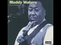 Muddy Waters & Johnny Winter / Cross Eyed Cat