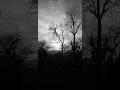 Patron - Acaba (Slowed)