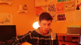 Download Say Something - Shawn Mendes (Cover) MP3