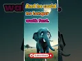 What I Learned from a SAD Elephant Story Changed My Life
