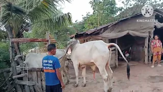 km 20260425 1080p 60f 20260425 013644