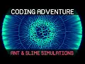 Download Lagu Codeeravontuur: mieren- en slijmsimulaties