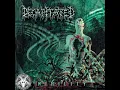 Decapitated - Spheres of Madness (Instrumental)
