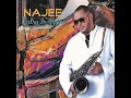 Song For The Ladies - Najee