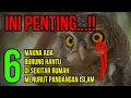 Download Lagu 6 ARTI BURUNG HANTU BERADA DI SEKITAR RUMAH MENURUT PANDANGAN ISLAM