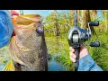 Fishing A HIDDEN Swamp FULL Of Double Digit Bass Crazy Bites