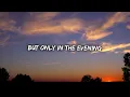 pupsies - misery (Lyrics)