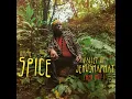 Valley of Jehoshaphat (Red Hot) - Richie Spice