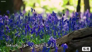 يا زارع الريحان حول خيامنا  لاتزرع الريحان لست مقيم  جميلة جدا    دندنها