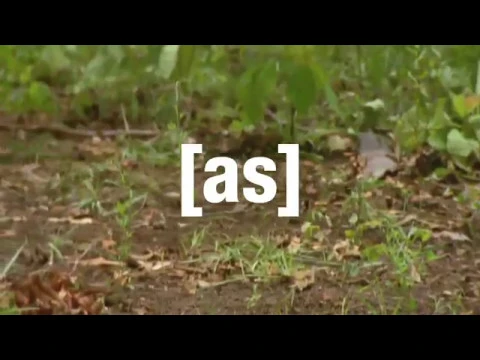 Adult Swim Promos - Off The Air