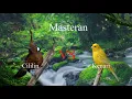 Download Lagu Masteran Kenari sambung Cililin suara jernih jeda 1 menit!!
