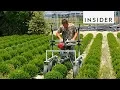 Lagu 7 Agricultural Inventions You Need In Your Life