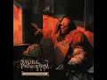 Reclaim the Sun - Mors Principium Est