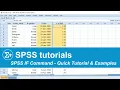 SPSS IF Command - Quick Tutorial Examples