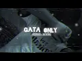 Download Lagu Gata only (slowed + reverb)