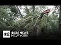 National Weather Service will survey storm damage in Madison New Jersey