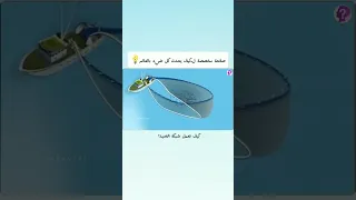 كيف تعمل شبكه الصيد دندنها