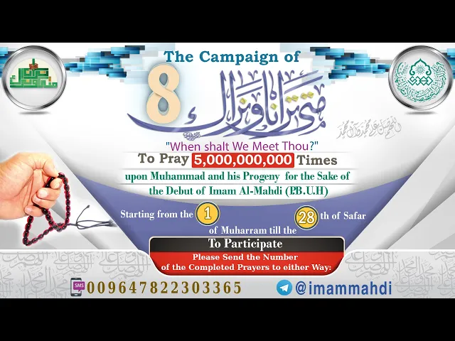 ⁣The Campaign of