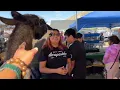 Walking around at Swap Meet in Winchester California 2022