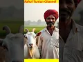 Download Lagu किसान ने बेचने चली बकरी#ytshorts#shortvideo#short