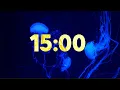 15 Minute Beautiful Jellyfish Timer with Soothing Music