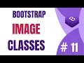 Bootstrap Image Classes Learn Bootstrap Bootstrap Tutorial in Hindi - Part 11 WsCube Tech