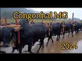 Download Lagu MAIS  200 CARROS DE BOI  EM  CONGONHAL MG MOSTRANDO TODOS OS CARROS NA ÍNTEGRA