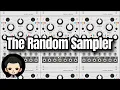 The Random Sampler by Audible Instruments VCV Rack Module Overview