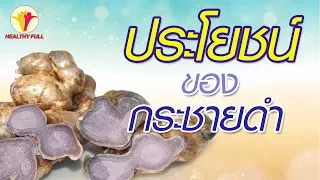  กระชายดำมีประโยชน์ต่อสุขภาพอย่างไรบ้าง 