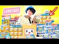 I WENT CRAZY OPENING LANKYBOX PRODUCTS FROM WALMART AND TARGET
