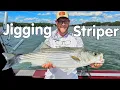 Chasing Striped Bass Deep on Smith Mountain Lake Rock Creek Striper Guide Service