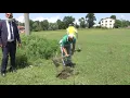 Fidan dikimi video