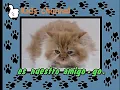 Download Lagu Xuxa El Gatito 2005