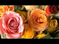 Download Lagu Romantic Valentine's Day Music | Piano \u0026 Guitar | Instrumental Love Music