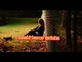 Download Lagu setia band terlalu indah official lirik video